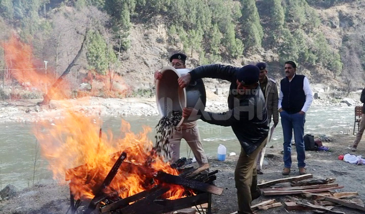 Kullu Police ने वाशिंग में 59 किलो 587 ग्राम Charas की आग के हवाले
