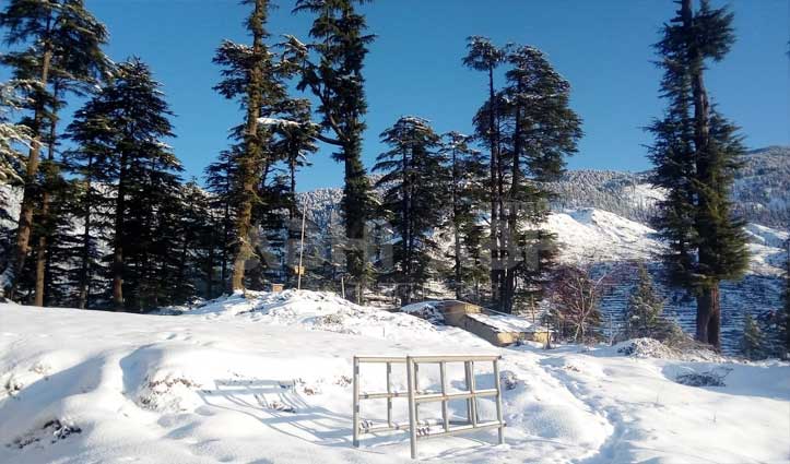 शीतलहर की चपेट में Himachal, पांच जिलों में हिमस्खलन का खतरा