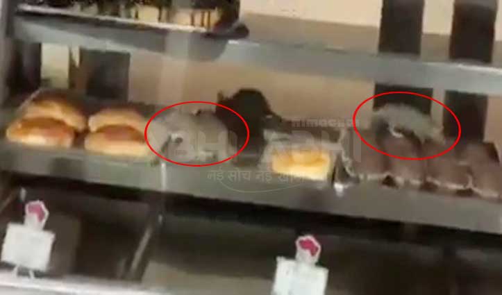 चूहों को Cakes और ब्रेड, Mcleodganj के एक प्रतिष्ठित Tibetan Bakery की Video में खुली पोल