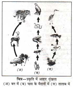 व ज ञ न व षय अध य य 15 हम र पर य वरण