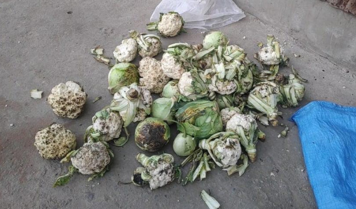 यह कैसी समाजसेवा, Sundernagar में प्रवासियों को दे दी गली-सड़ी सब्जियां