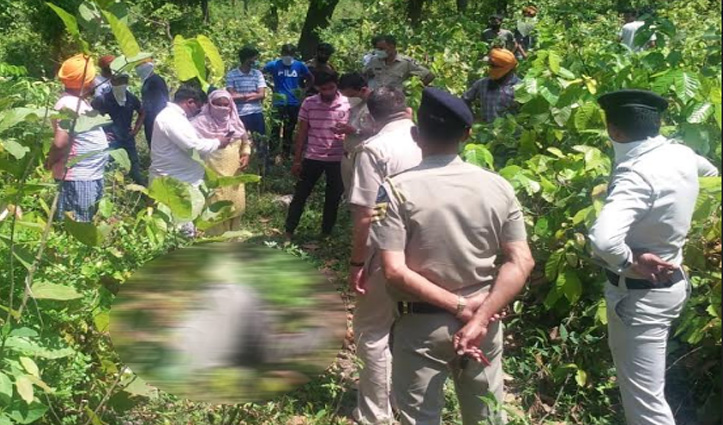 Sundernagar में पहाड़ी पर मिला नर कंकाल, मचा हड़कंप- जांच में जुटी Police
