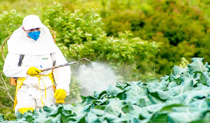 अब घर बैठे कीटनाशकों की खरीद और ऑनलाइन आवेदन कर सकेंगे किसान-बागवान