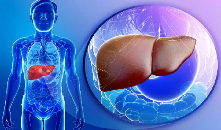 Fatty Liver Disease से बच कर रहें मोटे लोग, जानिए इसके पीछे की वजह और बचाव