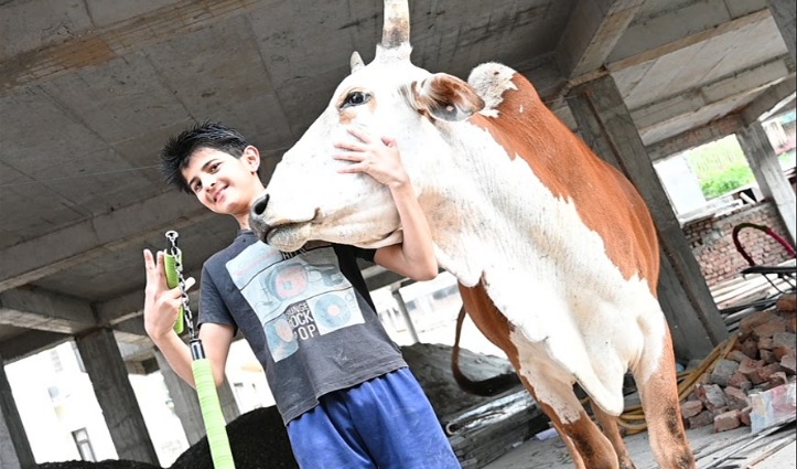 Video : लावारिस पशुओं का “Best Friend” है आर्यन, जानिए क्यों साइकिल निकालकर रोज लगाता है बाजार का चक्कर