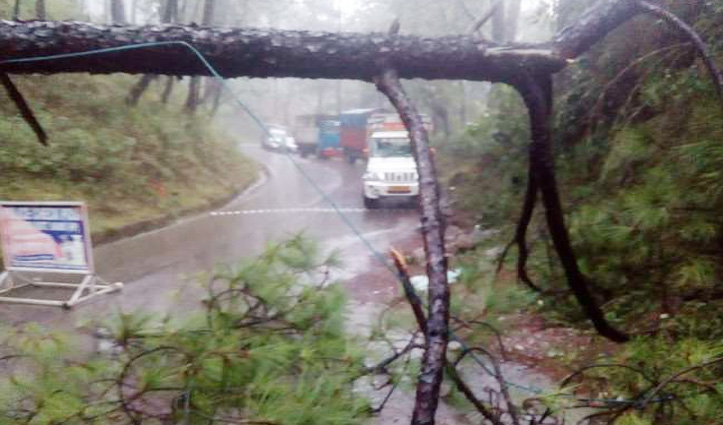 Pathankot-Mandi NH पर भूस्‍खलन : चेक पोस्‍ट पर गिरा पेड़, तीन घंटे बंद रहा मार्ग