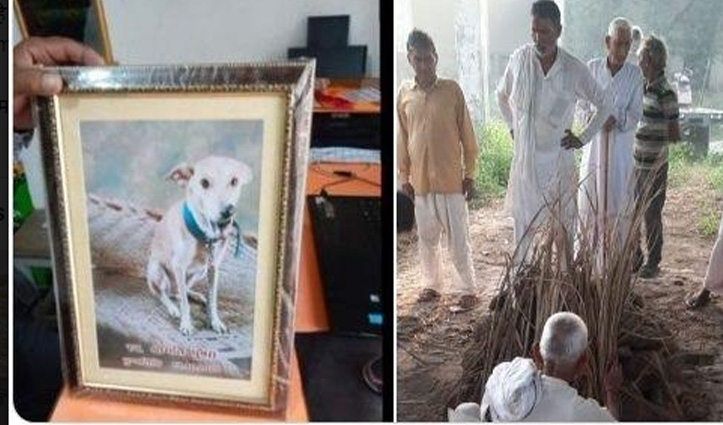 सीवर से बचाई थी Street Dog की जान, मौत पर मालिक ने निकाली शवयात्रा, तेरहवीं भी की