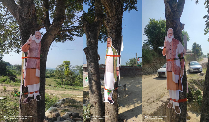 हिमाचल उपचुनाव: बीजेपी नेताओं के फोटो को पेड़ों से बांध कर किया जा रहा प्रचार, मची हाय तौबा