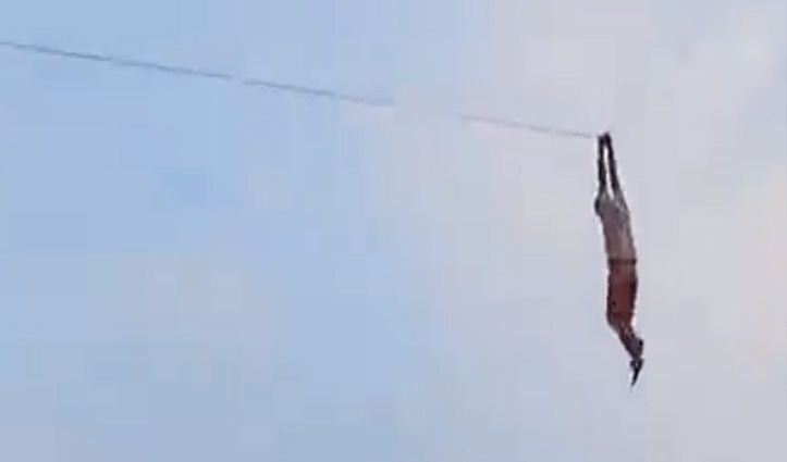 पतंग उड़ाते हुए खुद भी डोर के साथ जब हवा में उड़ा युवक,फिर जो हुआ देखें वीडियो