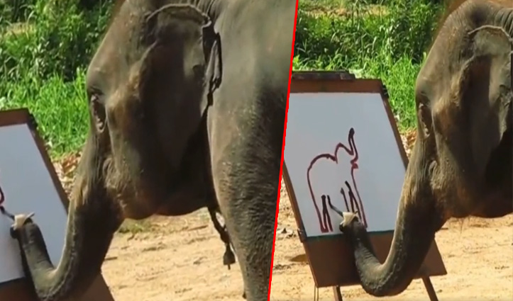 हाथी ने खुद बनाई अपनी पेंटिंग, वीडियो देख रह जाएंगे दंग