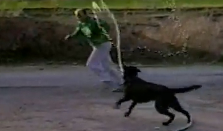 मालिक को पानी से भिगोने के लिए पानी की पाइप लेकर दौड़ा कुत्ता, यहां देखें मजेदार वीडियो