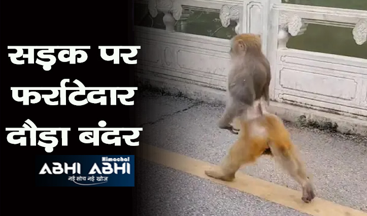 इंसानों की तरह दौड़ते हुए बंदर का वीडियो वायरल, आप भी यहां देखें