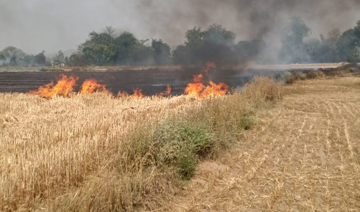 हिमाचल: किसानों की खेतों में खड़ी गेहूं को लगी आग, 14 एकड़ जमीन पर बची सिर्फ राख