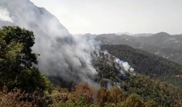सौ घंटे से जल रहे शिमला के जंगल, आग बुझाने में जुटे 120 जवान