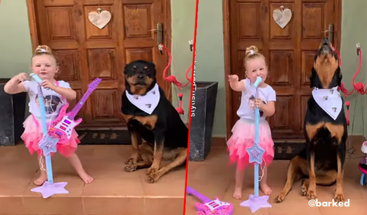 बच्ची ने कुत्ते के साथ मिलकर की सिंगिंग, देखें मजेदार वीडियो