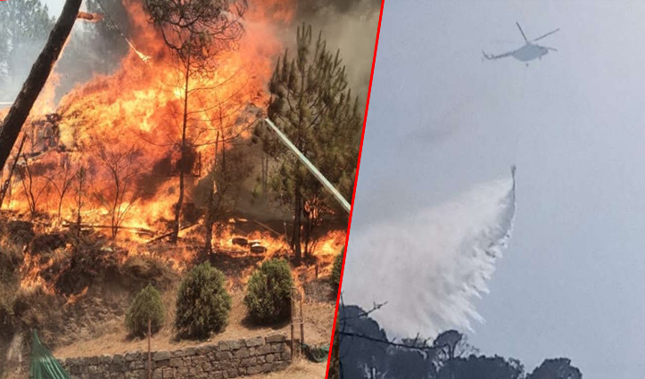 हिमाचल: कसौली और सनावर के जंगलों में भड़की भीषण आग, दो लोग झुलसे