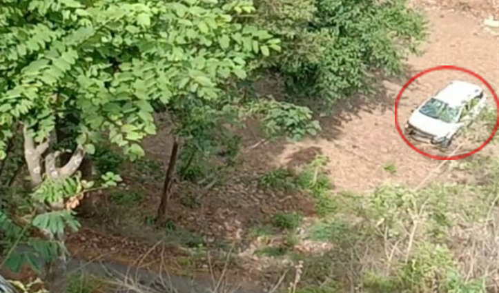 हिमाचलः जंगली जानवर सामने आने से खाई में गिरी कार, चालक की गई जान