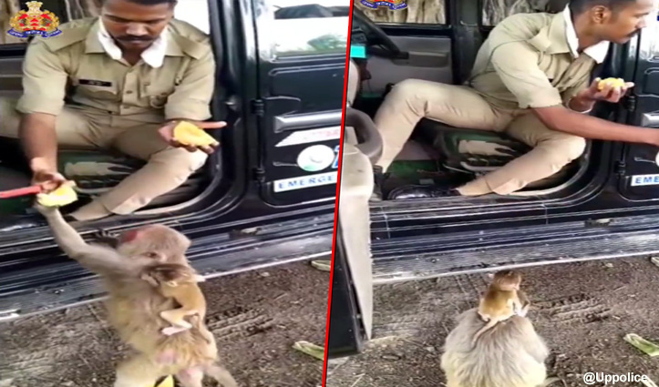 पुलिस कांस्टेबल ने बंदर के साथ किया कुछ ऐसा, सोशल मीडिया पर वीडियो हुई वायरल
