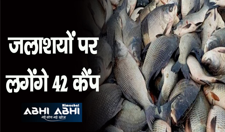 हिमाचल: इस दिन से मछलियों के शिकार पर लगेगा प्रतिबंध, ऐसे रखी जाएगी निगरानी