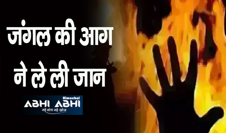 हिमाचल: जंगल की आग में महिला जिंदा जली, ऐसे हुआ हादसा
