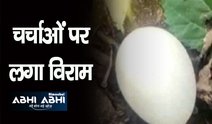 हिमाचल: मंडी जिला में मिले अंडे का खुल गया रहस्य, पढ़ कर रह जाएंगे दंग