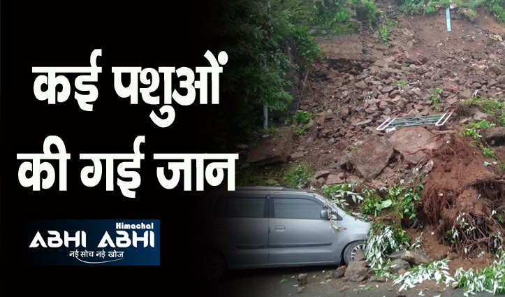 हिमाचल में बारिश का कहर: नाहन में दो मंजिला घर जमींदोज, शिमला में कई घर खाली करवाए
