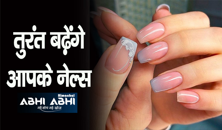 beautiful nail shiny nails diy nail care tips | Nail Care: सेलेब्स जैसे  नाखून पाने की इच्छा होगी पूरी, नेल्स पर लगाएं ये घरेलू चीजें