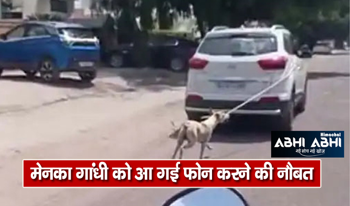 जोधपुर में क्रूर डाक्टर कुत्ते को गाड़ी से बांध कर पांच किलोमीटर तक घसीटता रहा