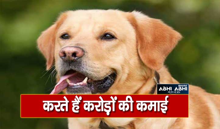 भारत के इस गांव में हर कुत्ता है करोड़पति, वजह जानकर होंगे दंग