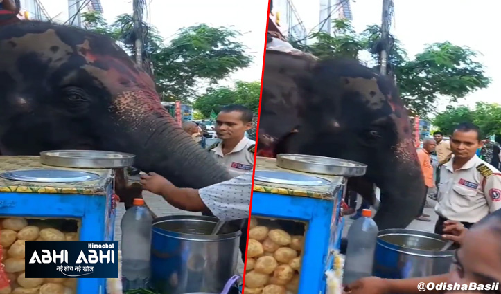 viral video:जब हाथी ने चटकारे लेकर खाए गोल गप्पे तो देखते रह गए लोग
