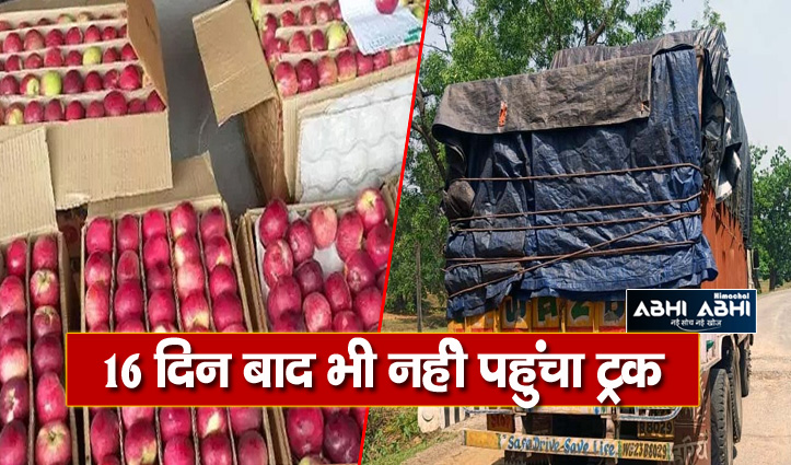 हिमाचल: 650 सेब पेटियां लेकर मुजफ्फरपुर गया ट्रक बीच रास्ते से गायब, मामला दर्ज