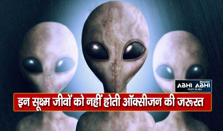 यूरोप की अल्पाइन पर्वत की श्रृंखलाओं में छिपा है एलियन होने का राज