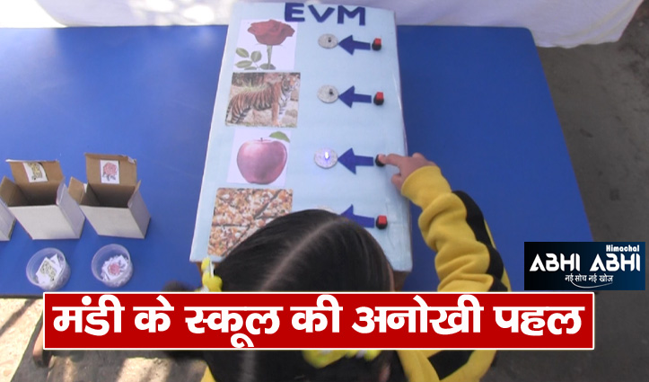 DAV School in Mandi conducted the process of voting