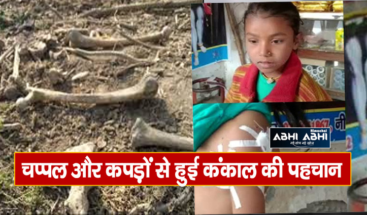 male-skeleton-found-in-una-6-year-old-girl-scratched-by-stray-dogs-in-hamirpur