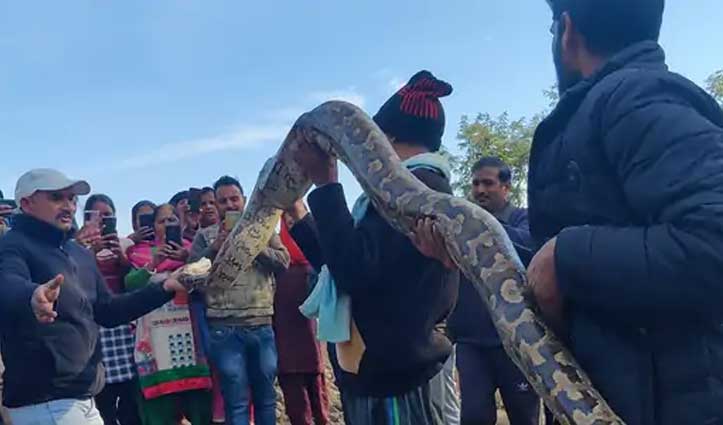 python