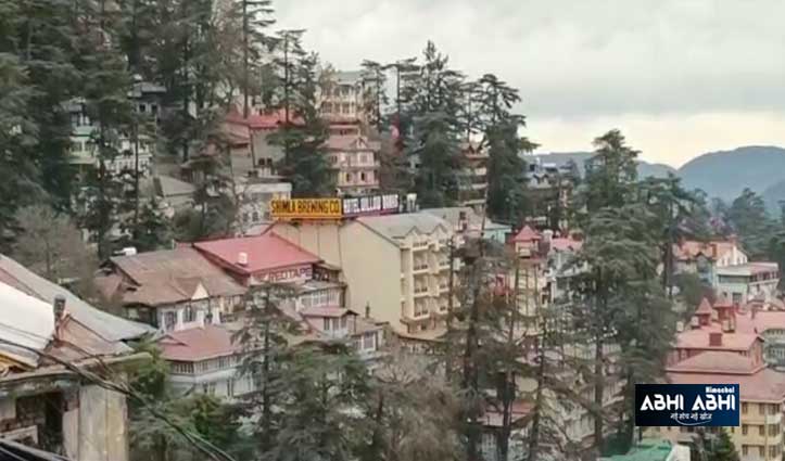 Municipal Corporation Shimla sought powers from Sukh Sarkar to cut dry trees