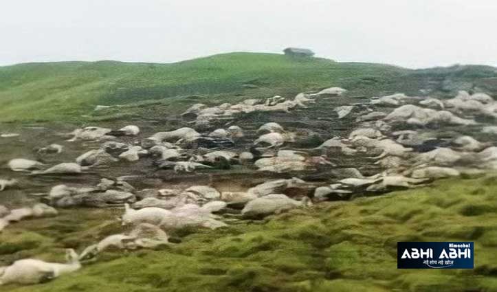 मणिकर्ण के शुंकचंग टॉप पर गिरी आसमानी बिजलीः 60 भेड़- बकरियों की मौत, भेड़ पालक घायल