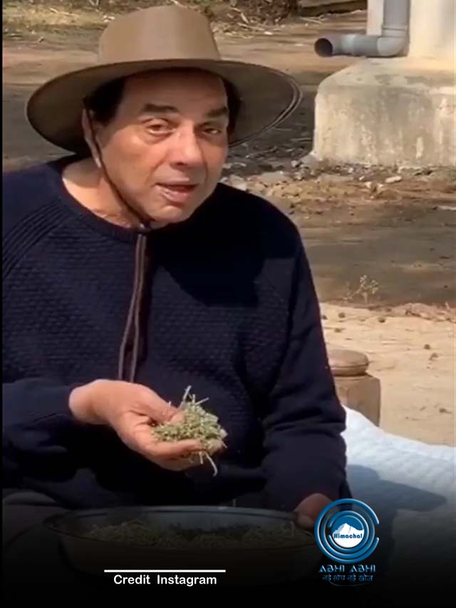 RARKPK की सक्सेस से दूर गांव में जिंदगी बिता रहे सुपरस्टार धर्मेंद्र, खाट पर बैठकर शेयर किया वीडियो