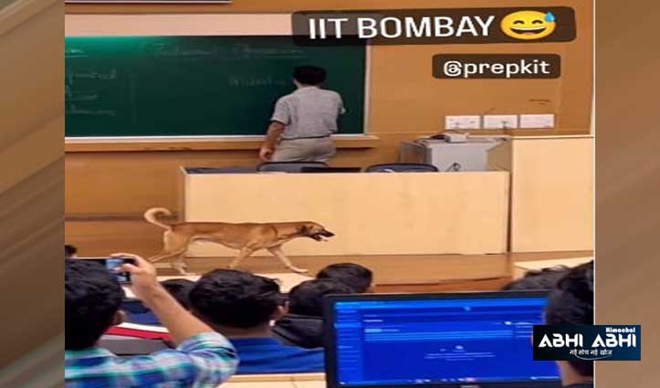 IIT बॉम्बे के क्लासरूम में घुस आया कुत्ता, यूजर्स बोले- JEE मेन्स क्लियर किया है