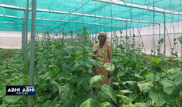 know-how-shaobha-devi-became-excellent-women-farmer-by-adopting-natural-farming