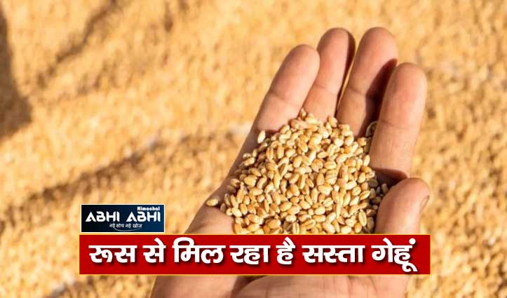 india-may-import-wheat-from-russia-to-curb-inflation