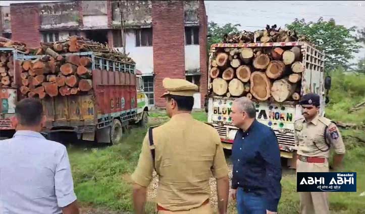 big-inter-state-timber-smuggling-racket-exposed-in-una