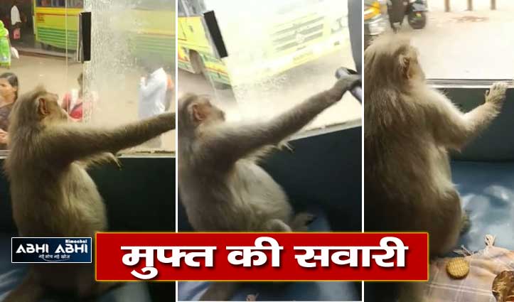monkey-gets-a-free-ride-in-ksrtc-bus-at-window-seat