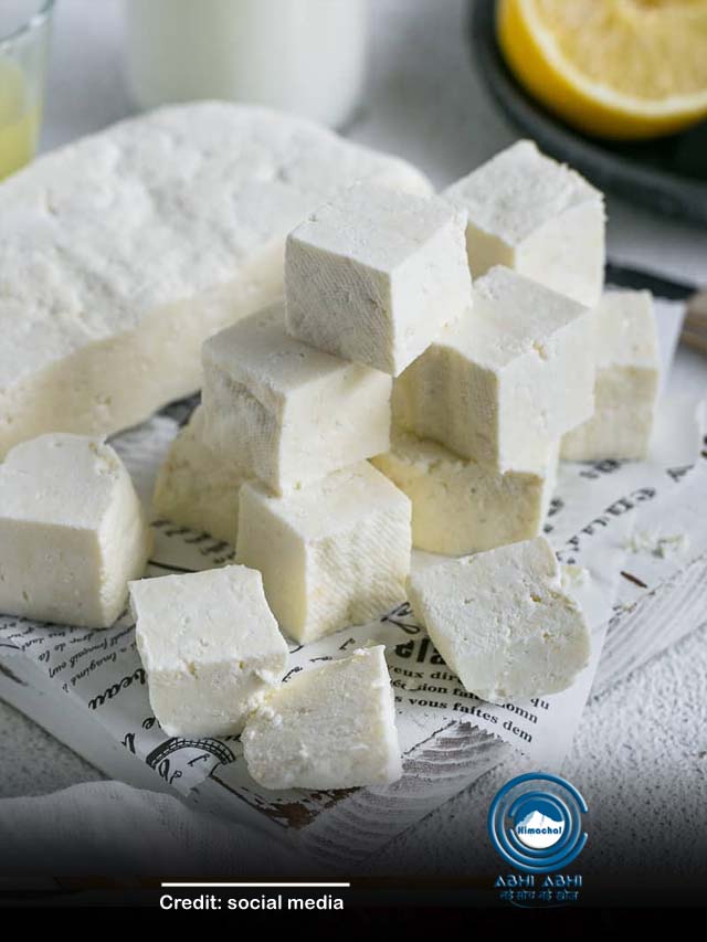 रोजाना पनीर खाना आपके हेल्थ के लिए कितना फायदेमंद, जानिए