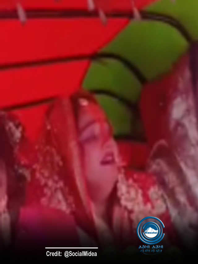 विदाई में इतनी रोई दुल्हन, वीडियो अंत तक देखकर तब आया सबको समझ