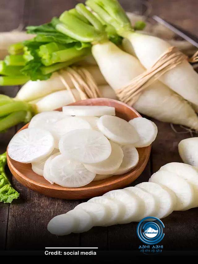 आज ही डाइट में शामिल कर लीजिए मूली, मिलेंगे ये फायदे
