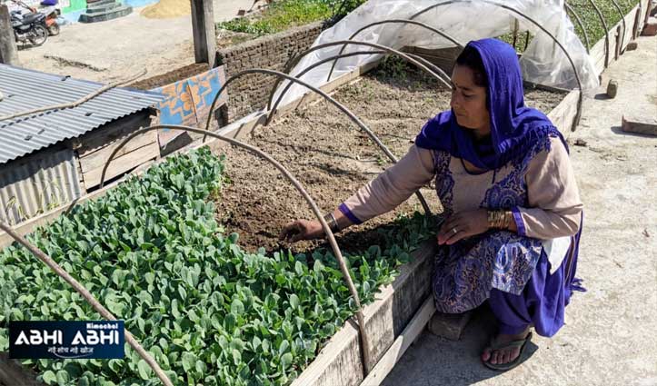 Natural-Farming-mandi