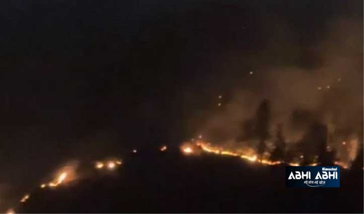 पतलीकूहल वन क्षेत्र में भीषण आगजनी, करोड़ों की वन संपदा जलकर खाक
