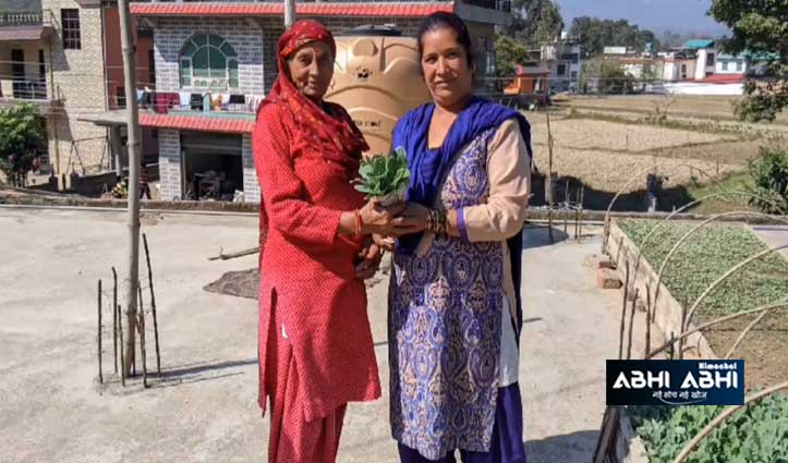 sunita-devi-earning-30-thousand-per-month-by-roof-top-vegetable-farming-in-mandi