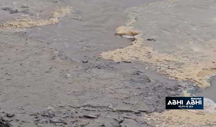 water-seepage-in-dal-lake-in-dharamshala-caused-fishes-dying